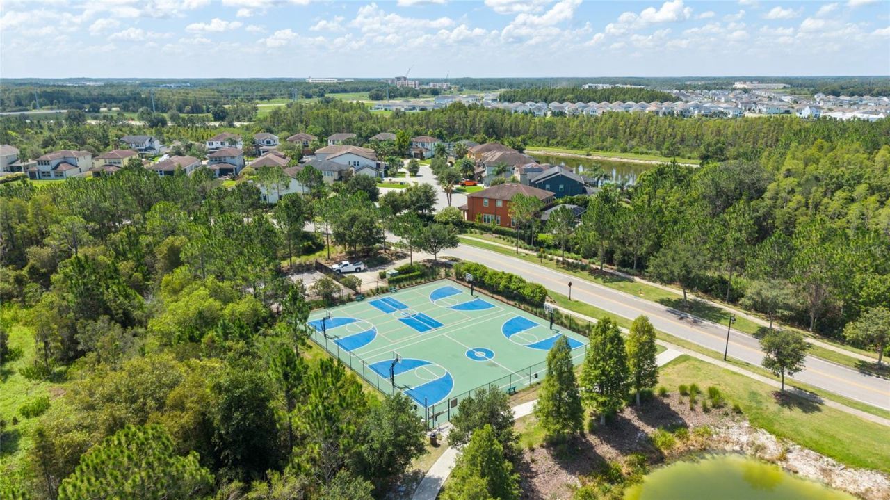 29818 Picana Lane, Wesley Chapel, FL 33543 Photo