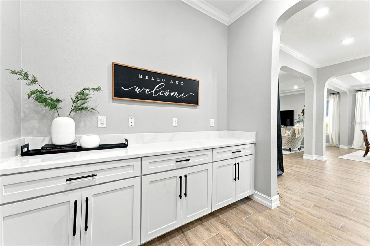 29818 Picana Lane, Wesley Chapel, FL 33543 Photo