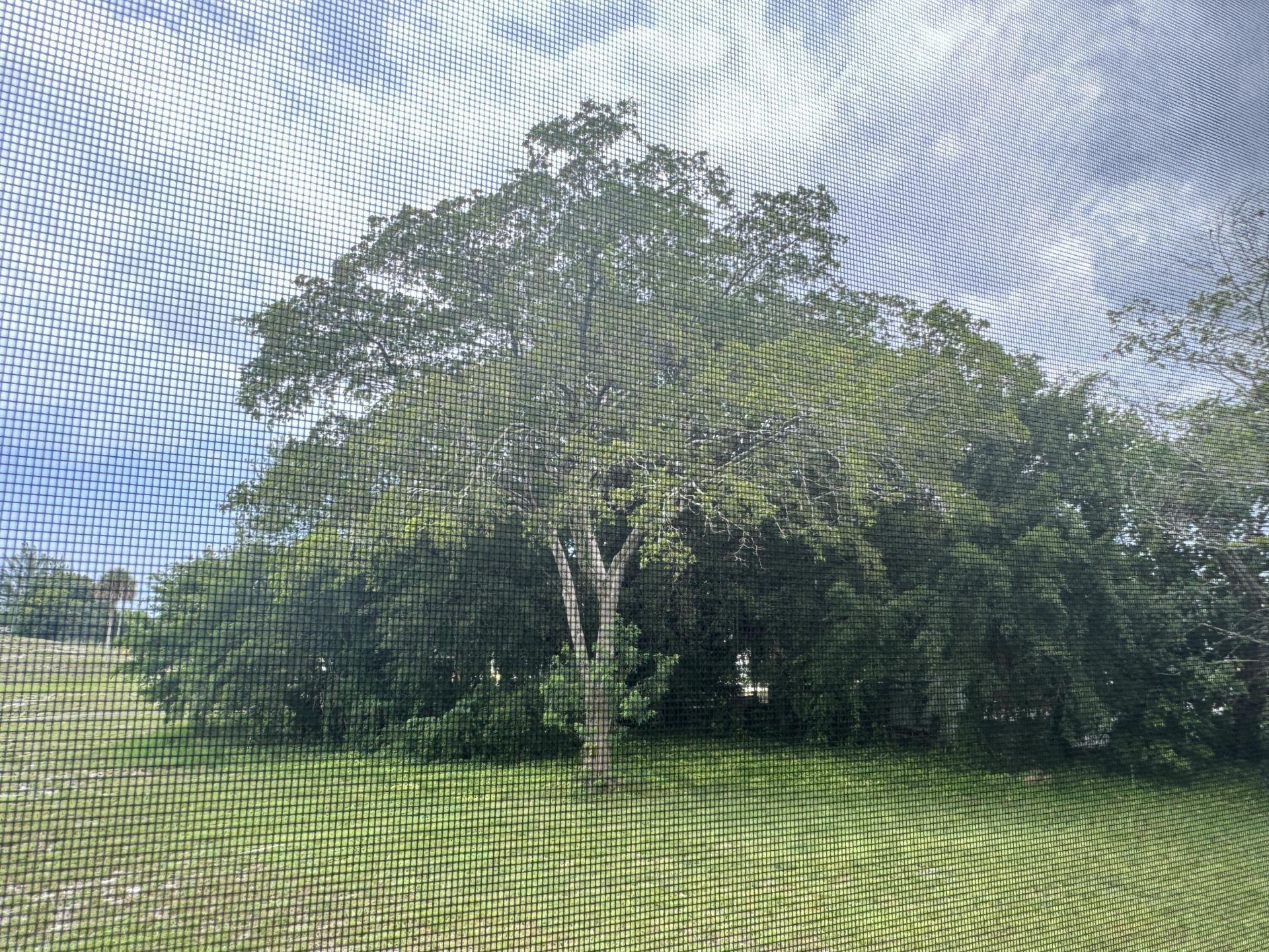 6000 NW 2nd Avenue, Unit 238, Boca Raton, FL 33487 Photo