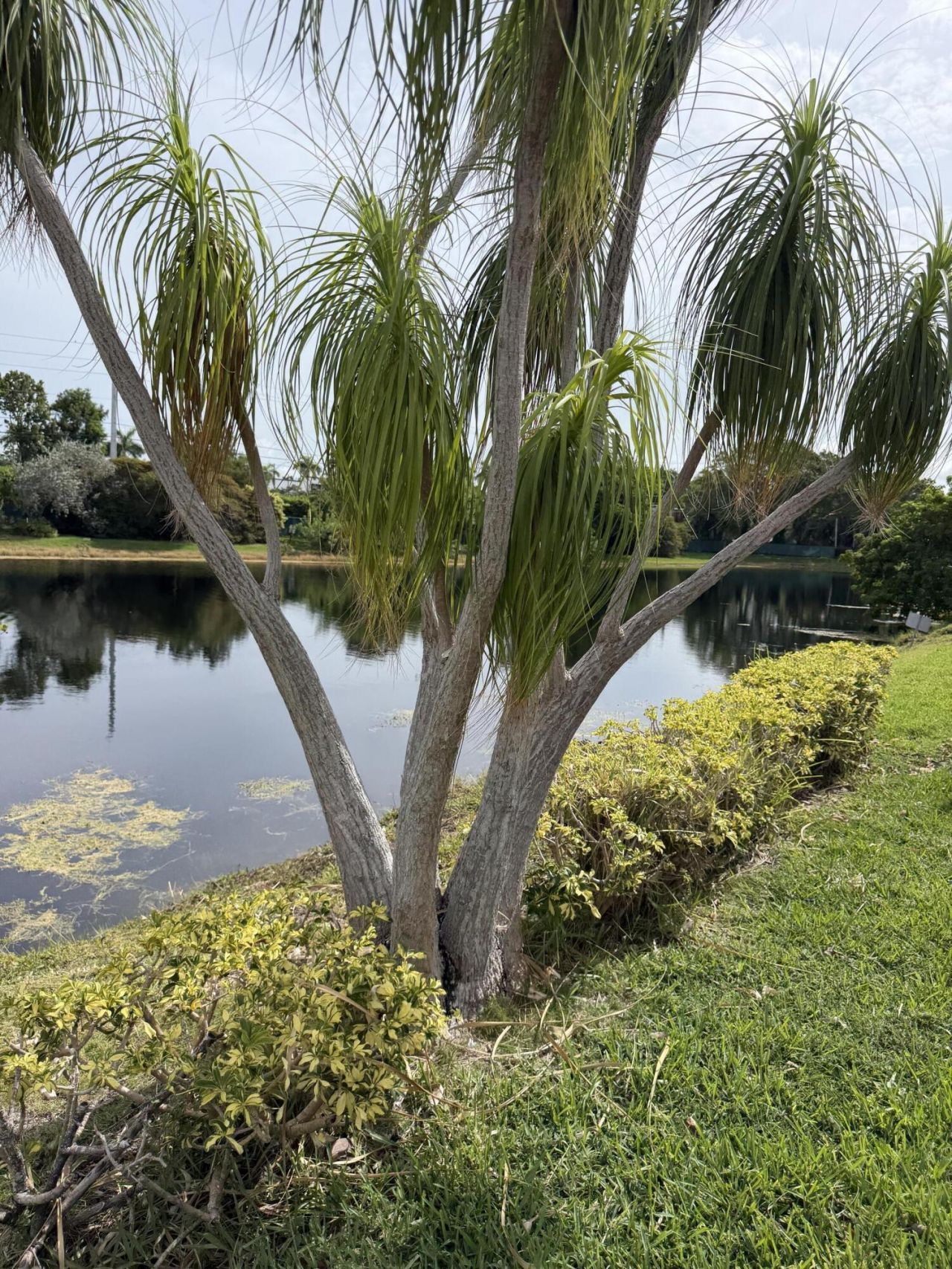 8857 Bella Vista Drive S, Unit 286, Boca Raton, FL 33433 Photo