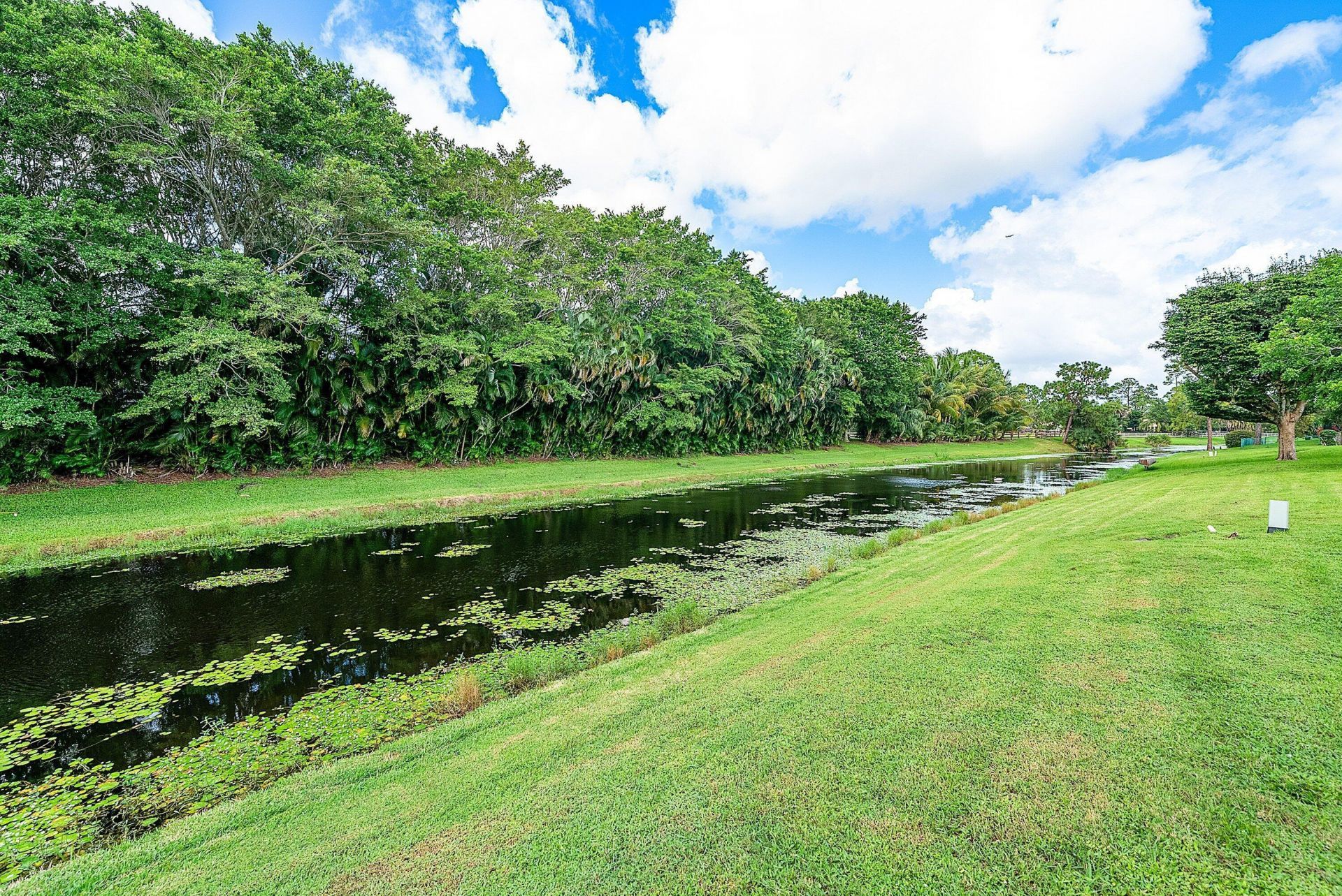 1252 Raintree Lane, Wellington, FL 33414 Photo