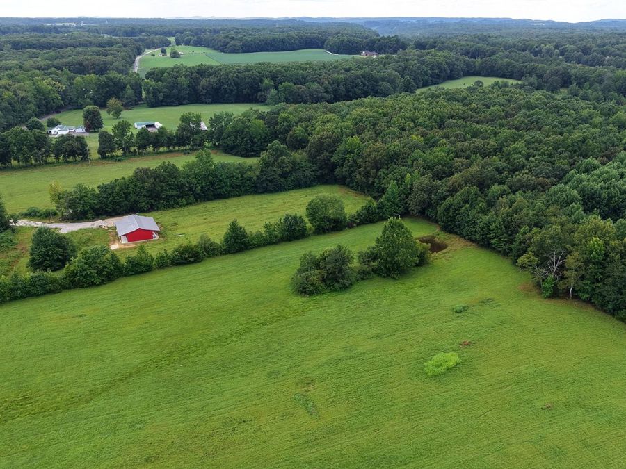 Property Image 19