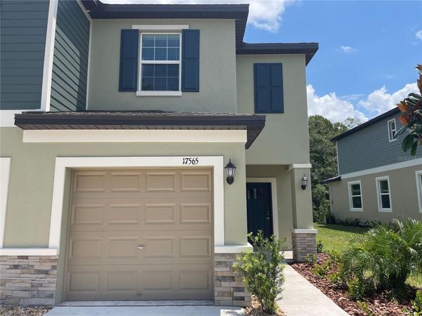 17565 NECTAR FLUME DRIVE , LAND O LAKES, FL 34638