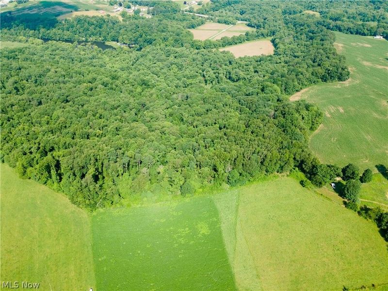 Cherry Run, Dundee, OH 44624 Photo 22