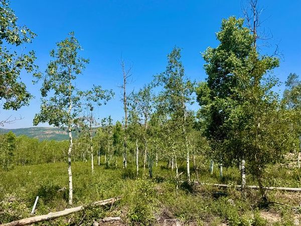 10775 E TANGLEWOOD DR , Unit 631, Heber City, UT 84032