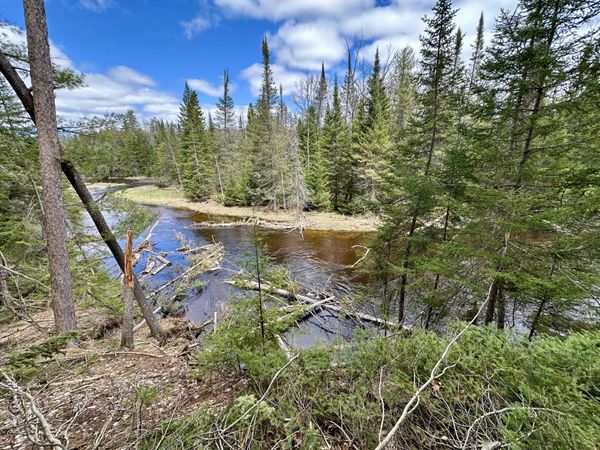5033 Big Sky Trail, Indian River, MI 49749