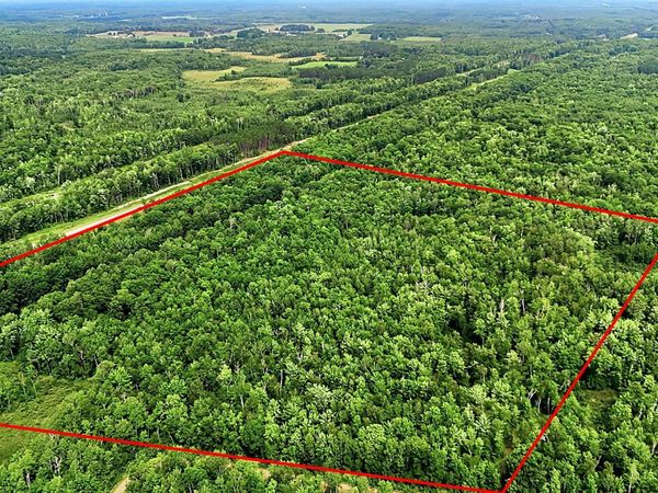 TBD Taylor Birch Rd, Sandstone, MN 55037