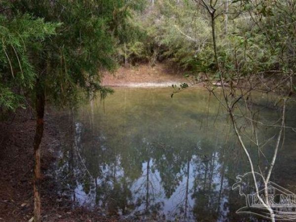 0001 Pat Brown Rd, Milton, FL 32570
