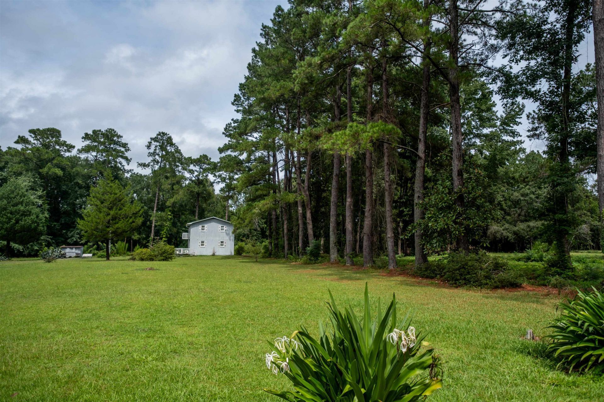 7060 Horseshoe Circle Photo 4