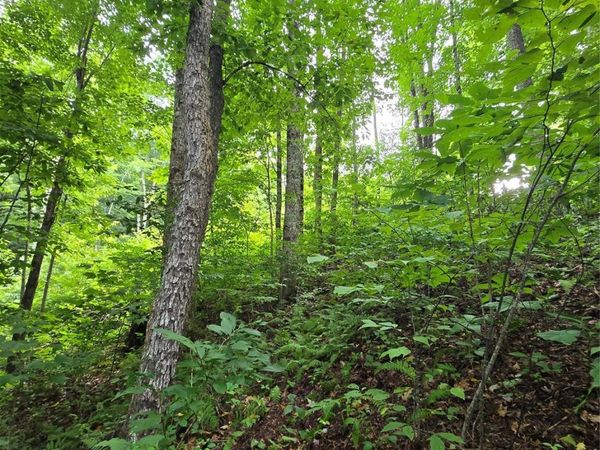 108 Tenderfoot Trail, Maggie Valley, NC 28751