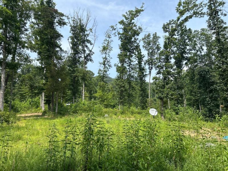 5786 St Rt 781, Peebles, OH 45660 Photo 10