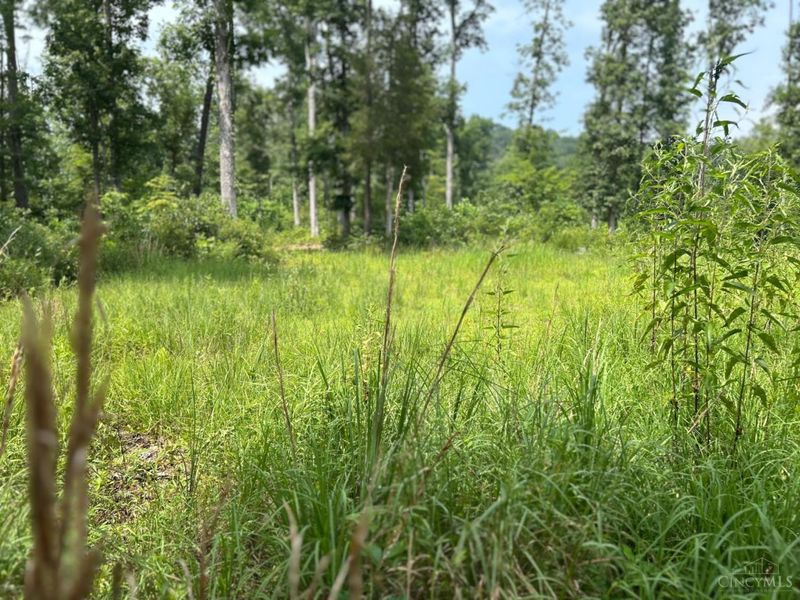5786 St Rt 781, Peebles, OH 45660 Photo 11
