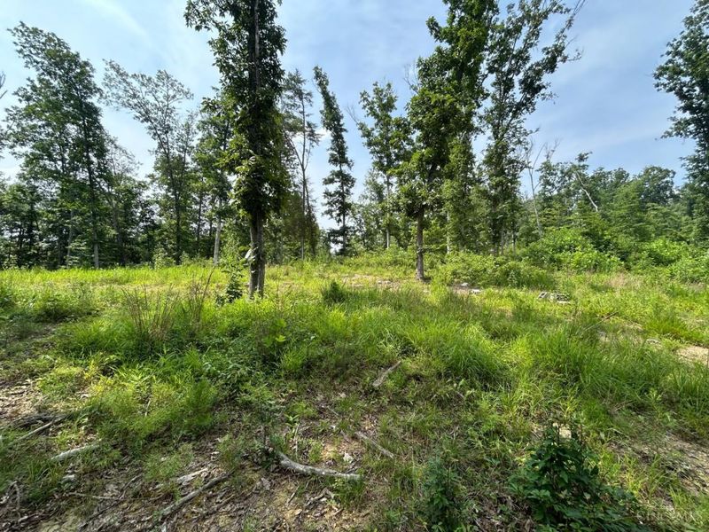 5786 St Rt 781, Peebles, OH 45660 Photo 12
