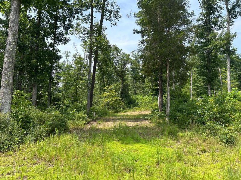 5786 St Rt 781, Peebles, OH 45660 Photo 14