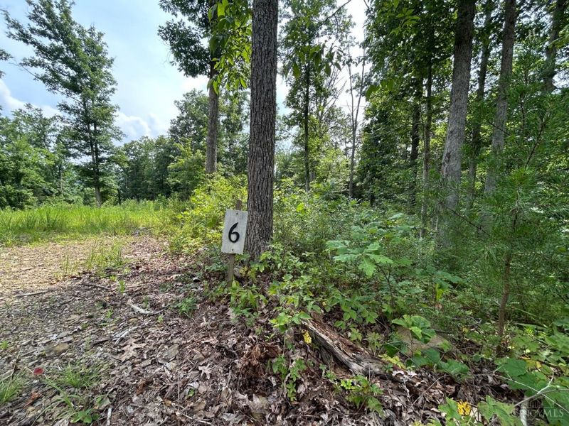 5786 St Rt 781, Peebles, OH 45660 Photo 2