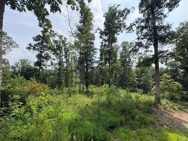 5786 St Rt 781, Peebles, OH 45660 Photo 3