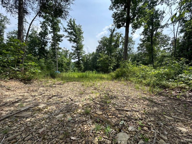 5786 St Rt 781, Peebles, OH 45660 Photo 4