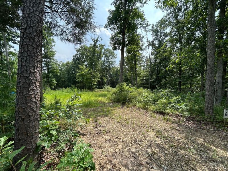 5786 St Rt 781, Peebles, OH 45660 Photo 7