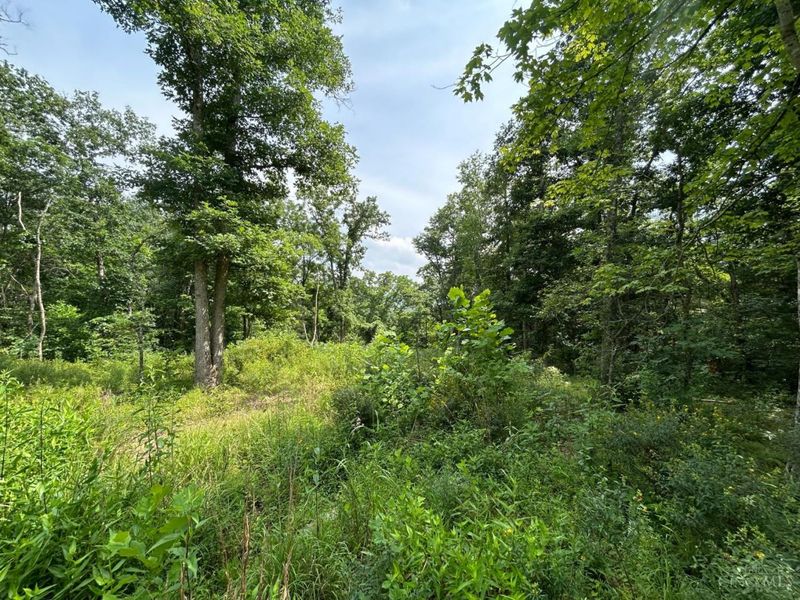 5786 St Rt 781, Peebles, OH 45660 Photo 9