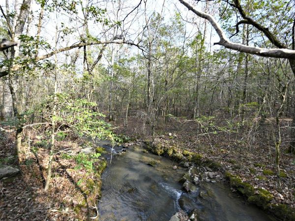 TBD Polk Road 95, Mena, AR 71953