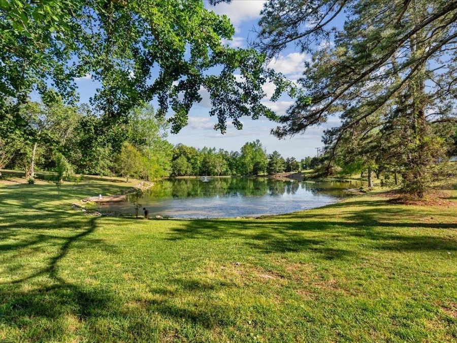 Property Image 58