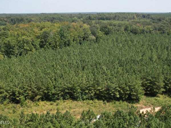 Cr 2132 , McCool, MS 39108