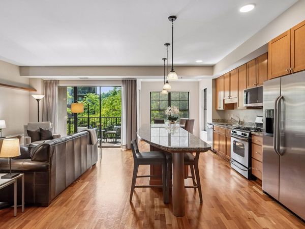 317 Groveland Avenue, Unit 213, Minneapolis, MN 55403