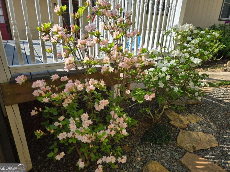 Property Image 84