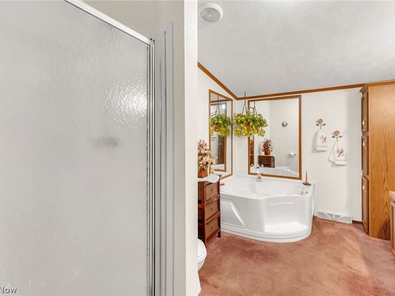 7371 State Route 9, Hanoverton, OH 44423 Photo 30