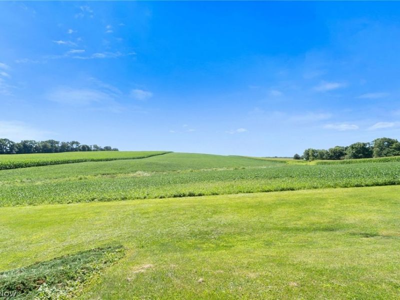 7371 State Route 9, Hanoverton, OH 44423 Photo 32