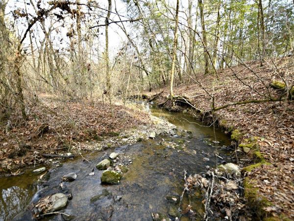 TBD Polk Road 48, Mena, AR 71953