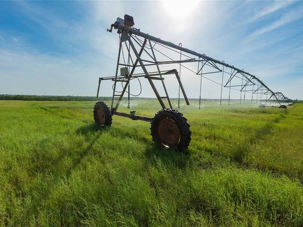 244 S County Road 221 , Snyder, TX 79549