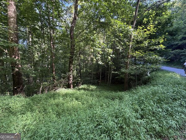 LOT 4 Mill Ridge Road, Hiawassee, GA 30546
