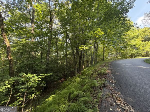 LOT 5 Mill Ridge Road, Hiawassee, GA 30546