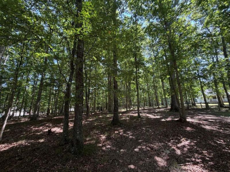 0 Forest Drive - Lot 34, Crossville, TN 38555 Main Photo