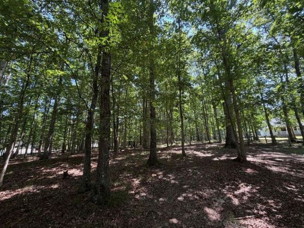 0 Forest Drive - Lot 34, Crossville, TN 38555