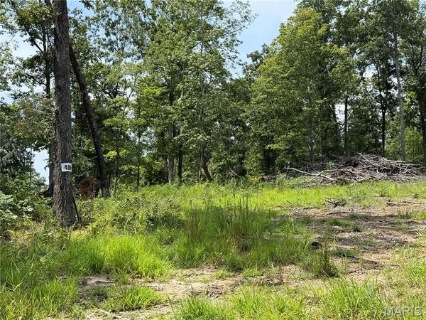 #406 Madison 410 , Fredericktown, MO 63645