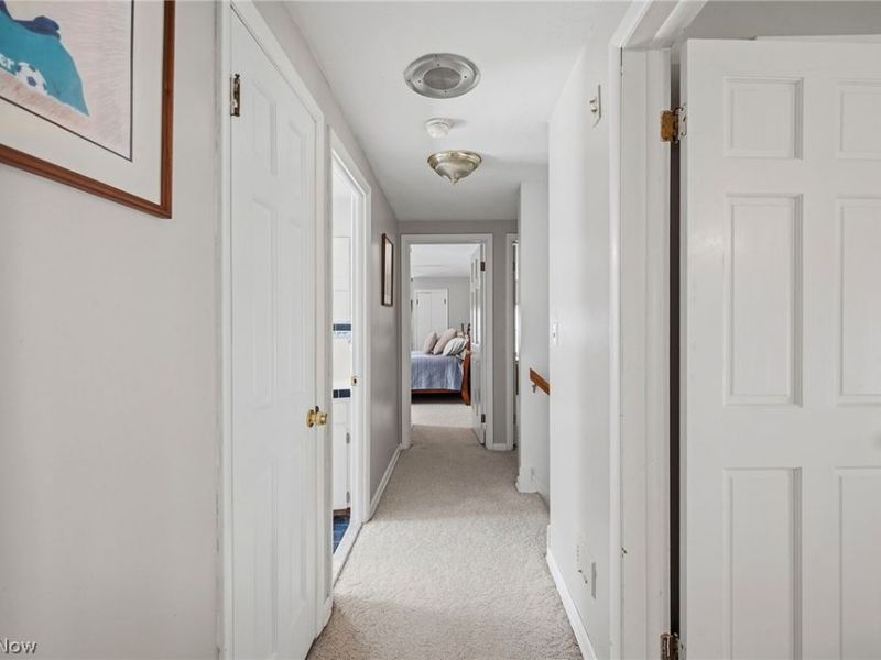 4161 Leona Drive, Rocky River, OH 44116 Photo 41