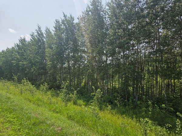County  Road 53 E County Road 53 , Mizpah, MN 56660