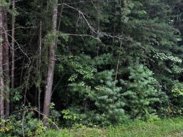 15 Minetta Court, Crossville, TN 38558