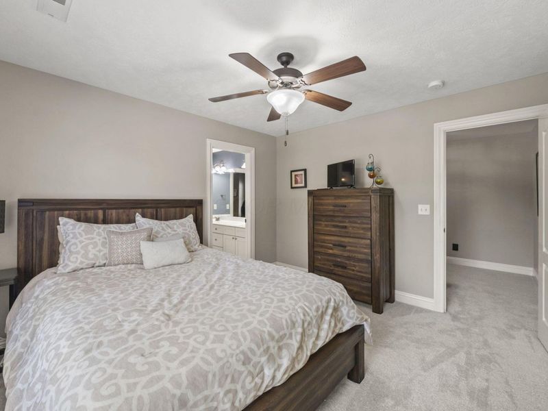 4486 Village Club Drive, Powell, OH 43065 Photo 56