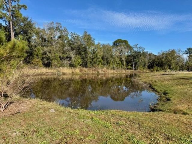 191 Purcell Drive, Orlando, FL 32825 Photo