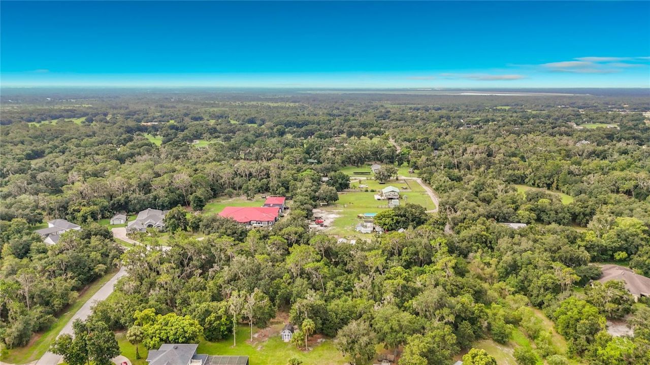 10623 Lithia Estates Drive, Lithia, FL 33547 Photo