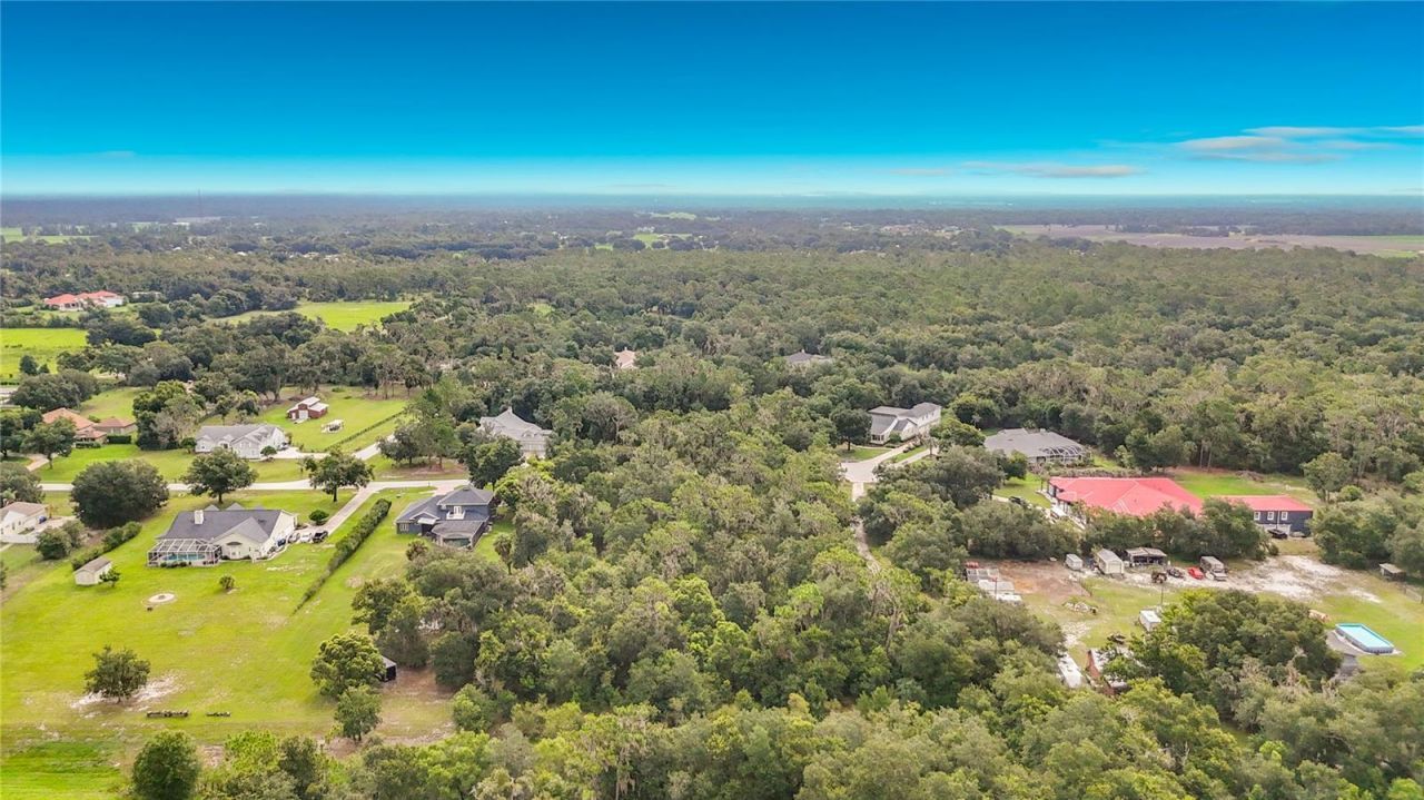10623 Lithia Estates Drive, Lithia, FL 33547 Photo