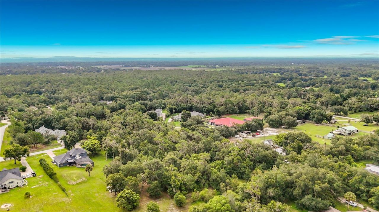 10623 Lithia Estates Drive, Lithia, FL 33547 Photo