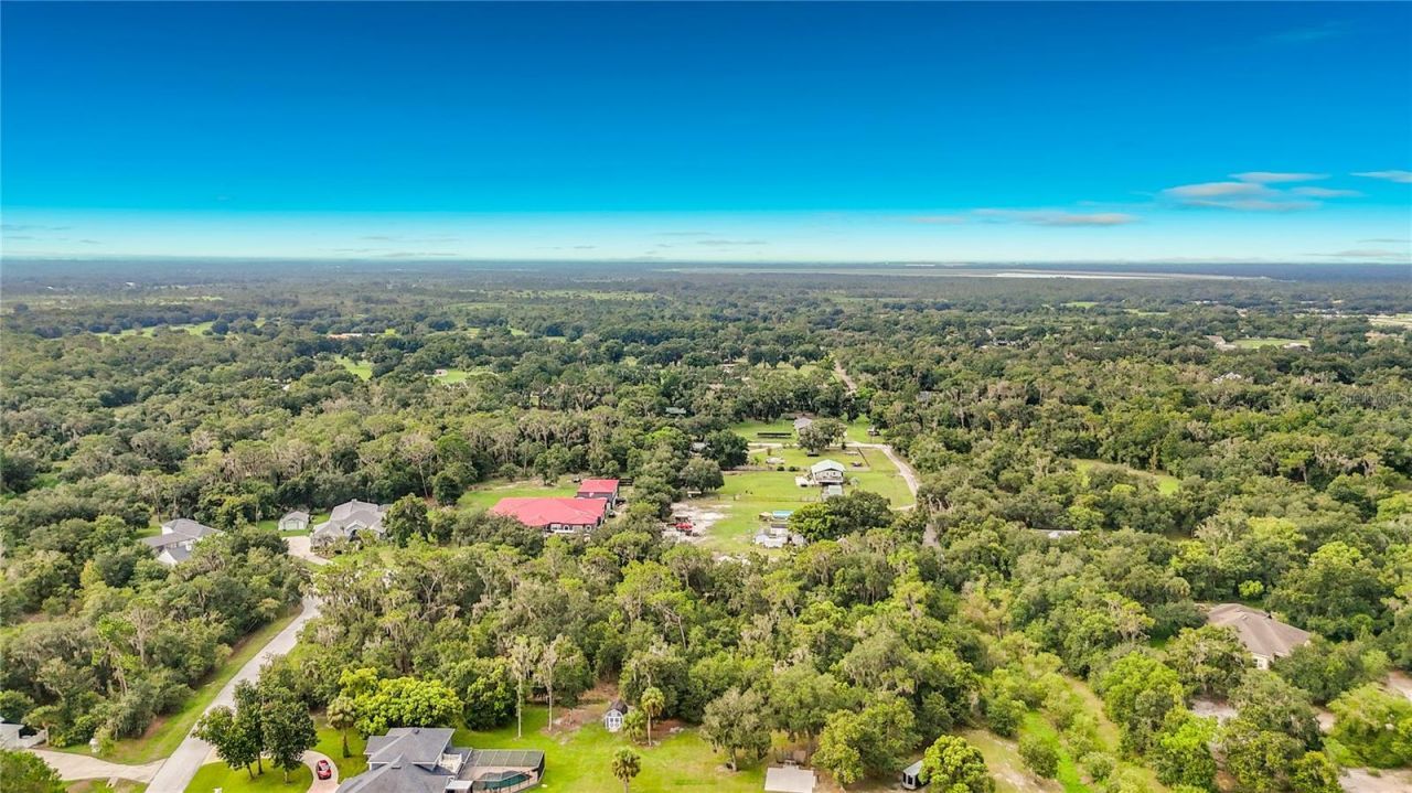 10623 Lithia Estates Drive, Lithia, FL 33547 Photo