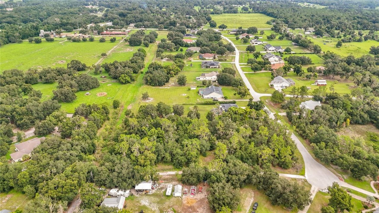 10623 Lithia Estates Drive, Lithia, FL 33547 Photo