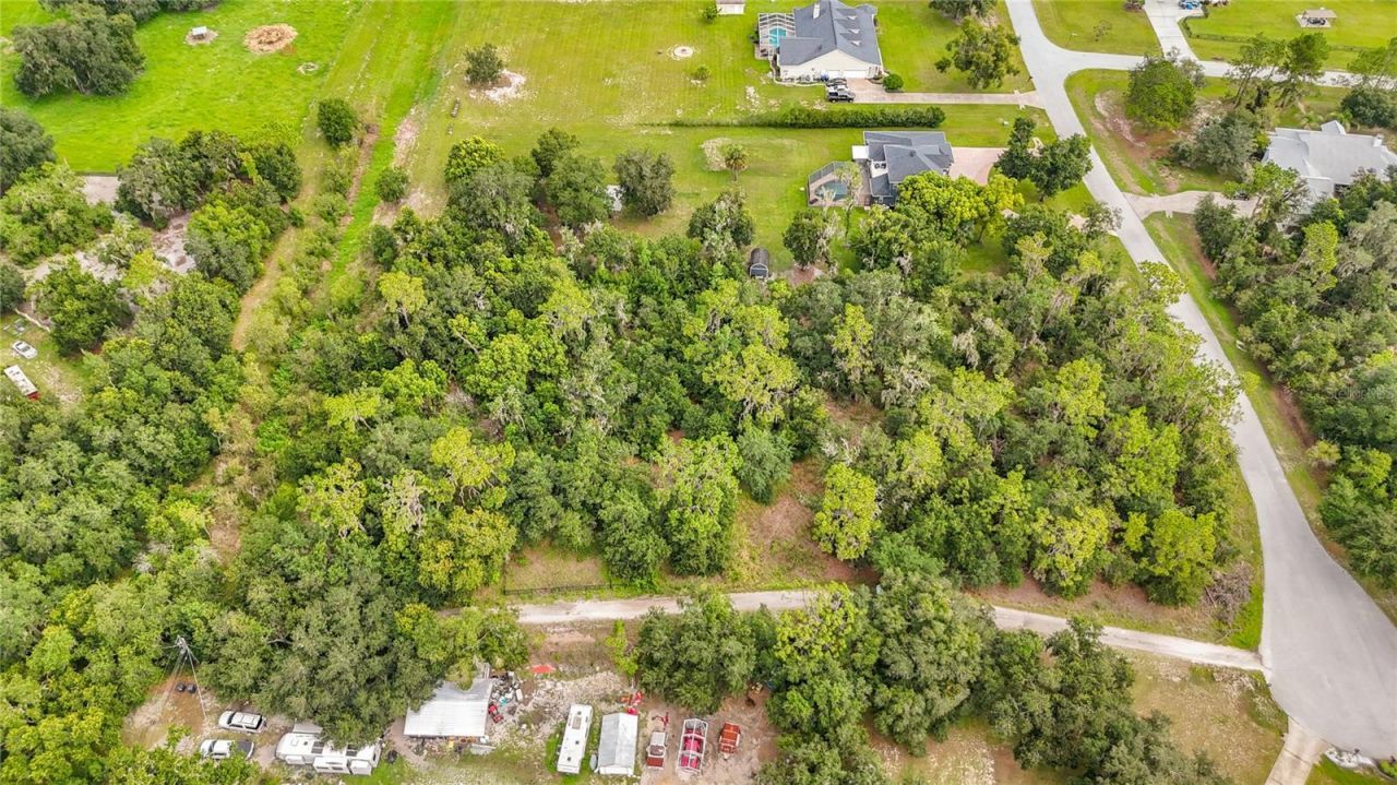 10623 Lithia Estates Drive, Lithia, FL 33547 Photo