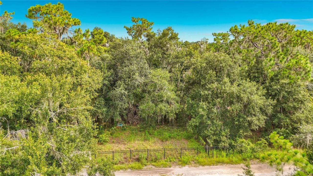 10623 Lithia Estates Drive, Lithia, FL 33547 Photo