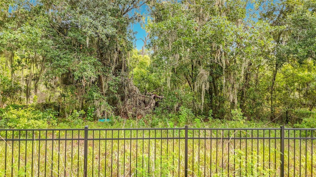 10623 Lithia Estates Drive, Lithia, FL 33547 Photo